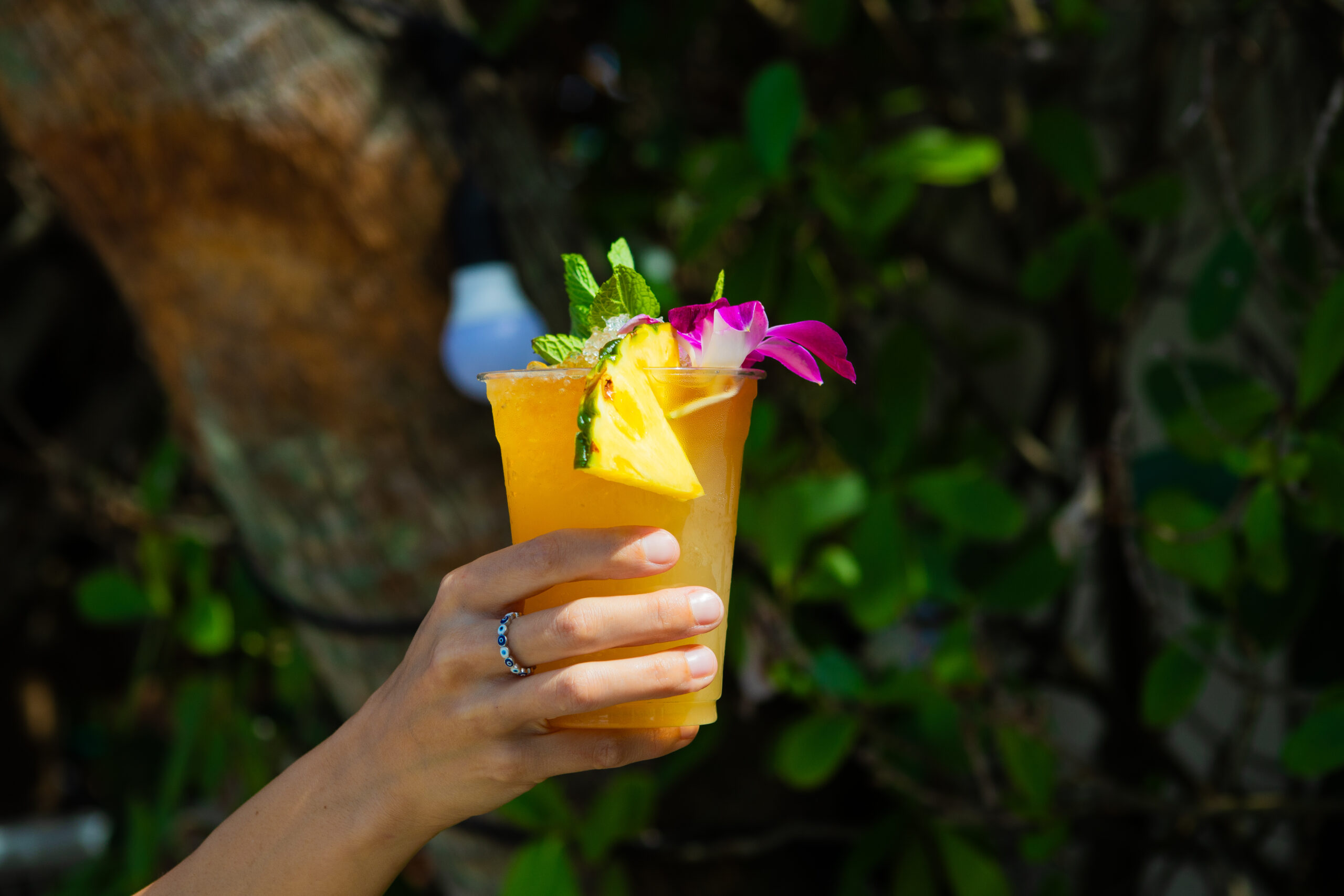 B Ocean Resort Fort Lauderdale Beach|Salty Siren